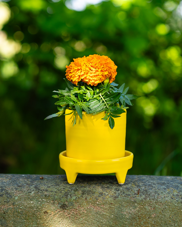 Gul cylinderkruka på fat, keramik av Elna-Karin Helgesson.