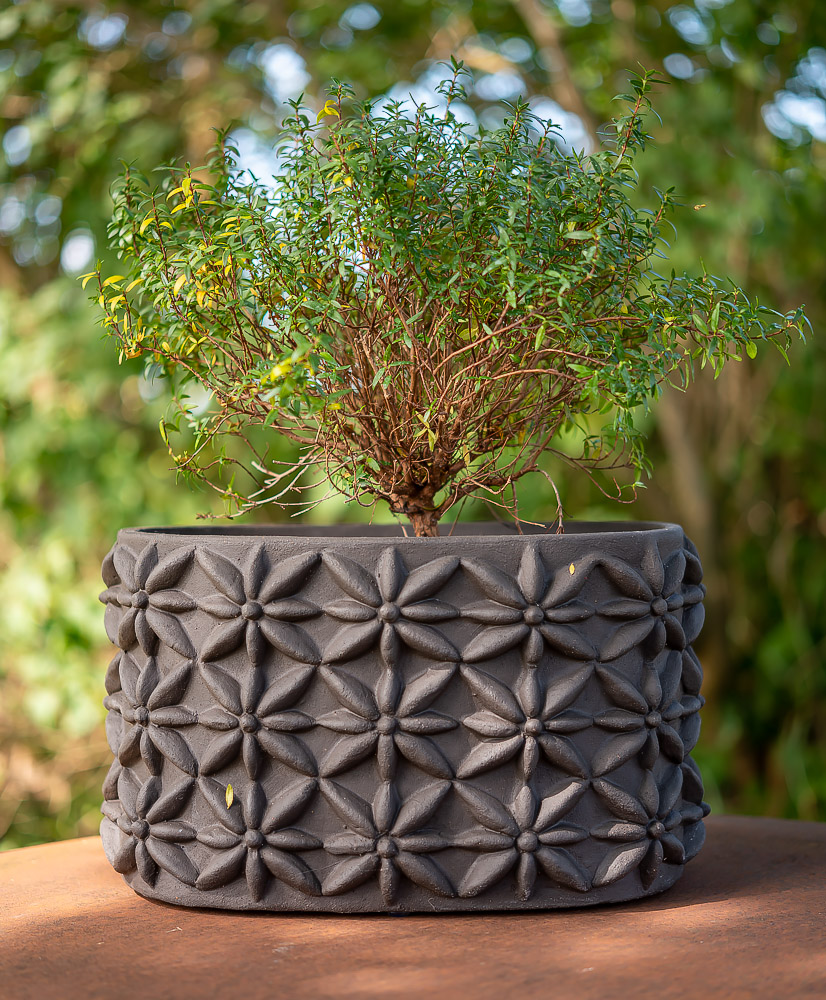 Oval kruka i svart lera.